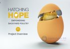 Hatching Hope - Overview
