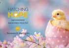 Hatching Hope - Research Methods (UX)