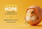 Hatching Hope – Application Services and Features