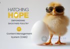 Hatching Hope – Content Management System (CMS)